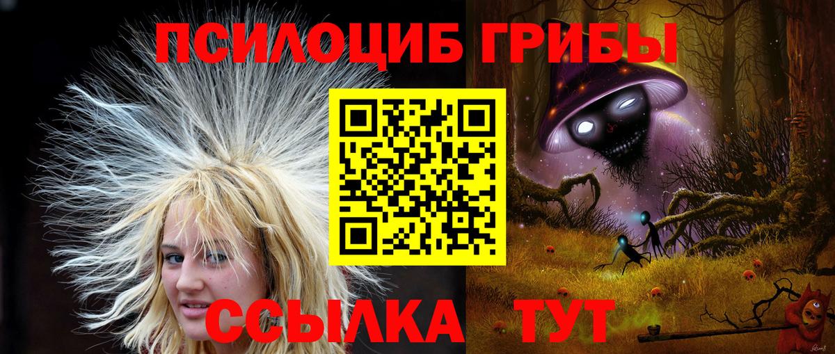 Галлюциногенные грибы мицелий  купить  сайты  Амурск  Вход с VPN 